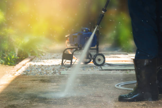 Best Roof Washing  in Daly City, CA